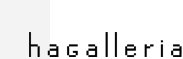 logo hagalleria